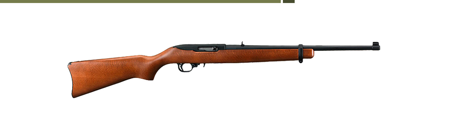 Ruger 10/22