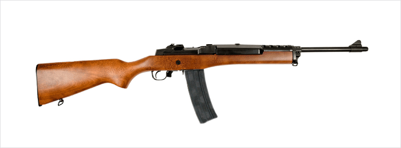 Ruger AC-556