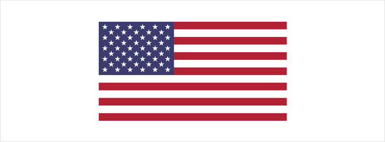 US Military Arms