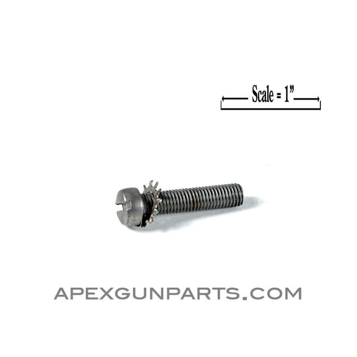 Colt AR-15 / M16 Screw and Star Washer for Pistol Grip 