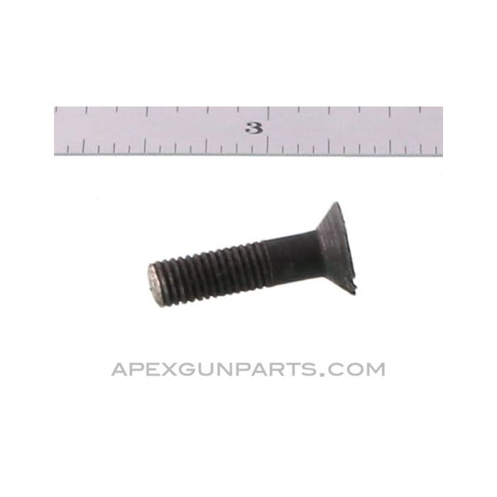Enfield #1 MKIII Screw, Rear Sight Protector