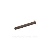 Japanese Type 38 Tang Screw, Rusty *Fair*