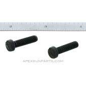 CETME Model L Buttpad Screws, Set of 2, *Good* 