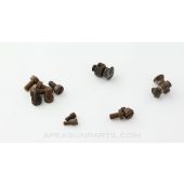 Maxim MG Assorted Screws *Good*