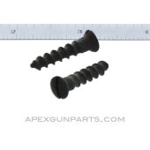 Romanian M1964 RPK Buttstock Screw Set, *Good* 