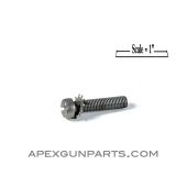 Colt AR-15 / M16 Screw and Star Washer for Pistol Grip 